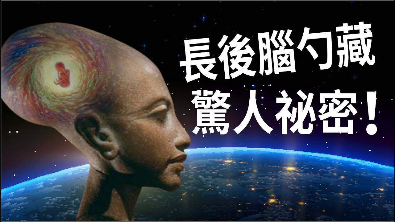 埃及第五王朝法老和女祭司 長橢圓形後腦勺 ? 神之子創蘇美爾文明 ? 開設法老和大祭司職位