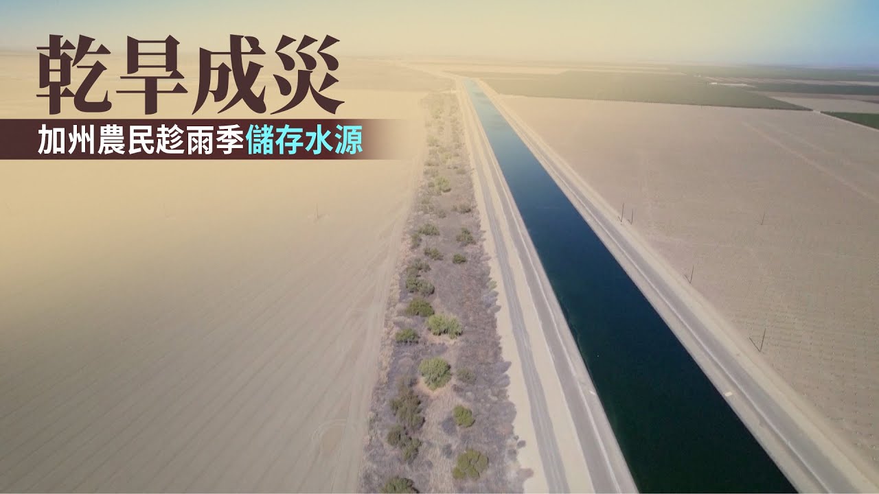 乾旱成災 加州農民趁雨季儲存水源