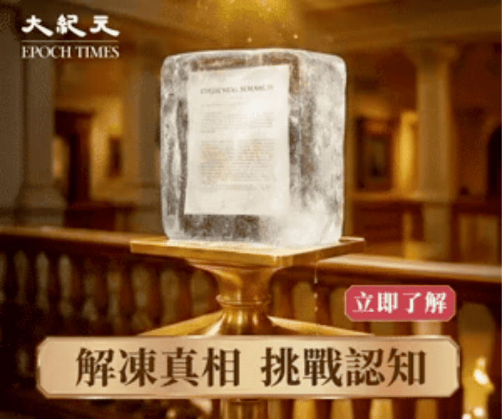 透視進化論 – Epoch shop