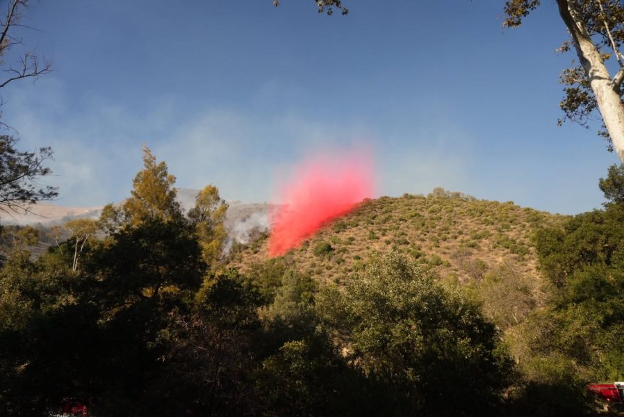 阿倫洛克公園爆發山火 火勢被迅速控制 無人傷亡