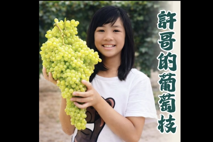 金山灣區媽媽教室 4/17 將舉辦園藝講座